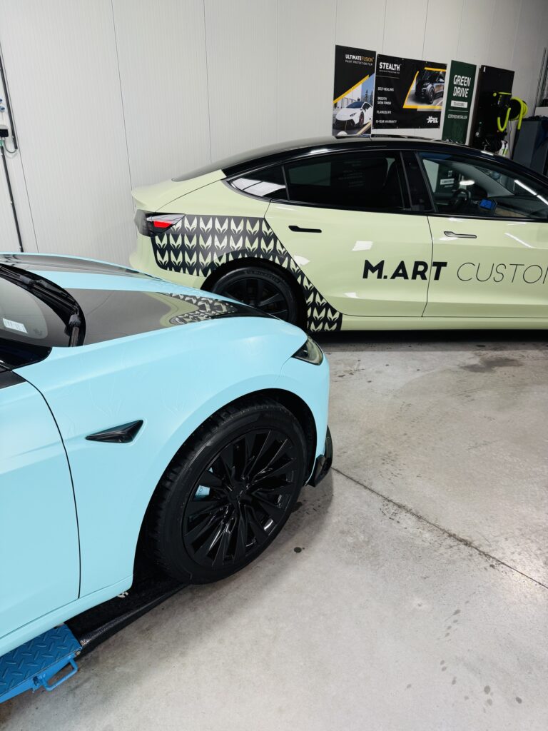 Location TESLA M.ART CUSTOM (6) (Personnalisé)